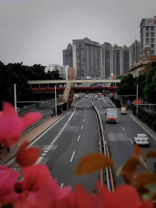 Relax and explore Guangzhou citywalk, don't miss it as you pass by