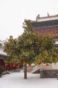 鄭州citywalk，免費的文廟當然不能錯過
