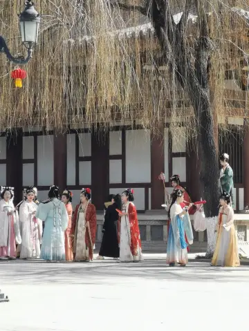 เสี่ยน | ดอกไม้บนทุ่งเล่นสนุกเริ่มบานแล้ว～