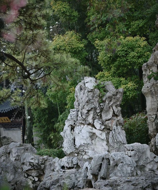 南京|這幾天的瞻園，滿園春色根本關不住