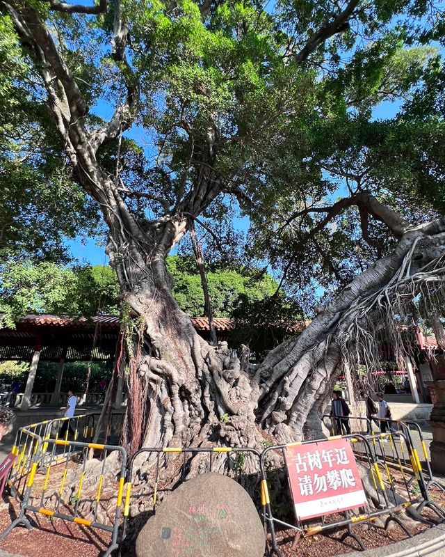 福建泉州開元寺：穿越千年的刺桐城，尋找繁華的記憶