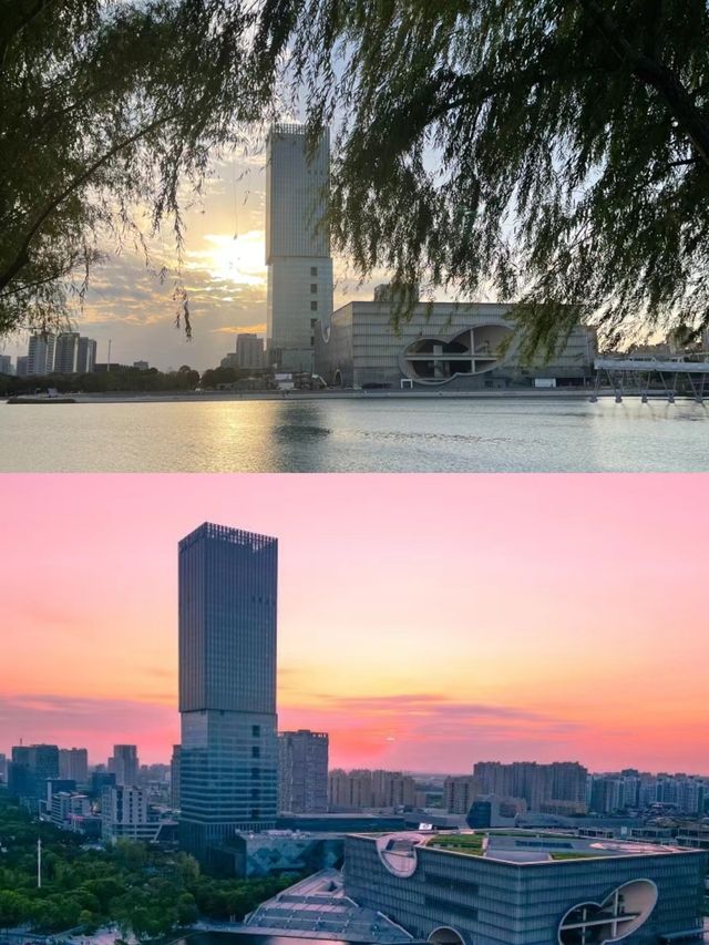 上海周末景美得像幅畫，人少得不像話