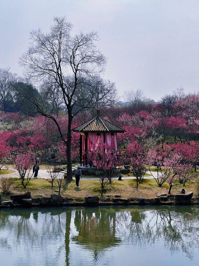 揚州瘦西湖｜煙花三月瘦西湖詳細遊玩攻略