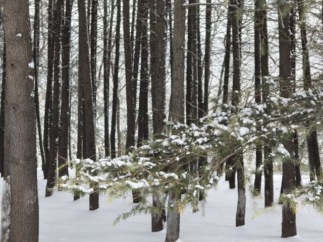 鼓樓的雪