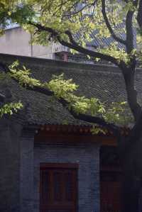 不僅名勝古蹟，推薦西安的這些地方