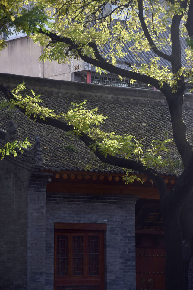 不僅名勝古蹟，推薦西安的這些地方