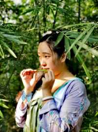 不負翠竹之名，竹葉青青