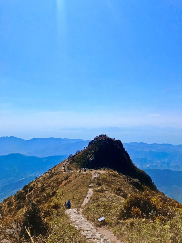 你永遠可以相信七娘山，真是泰美美美美辣