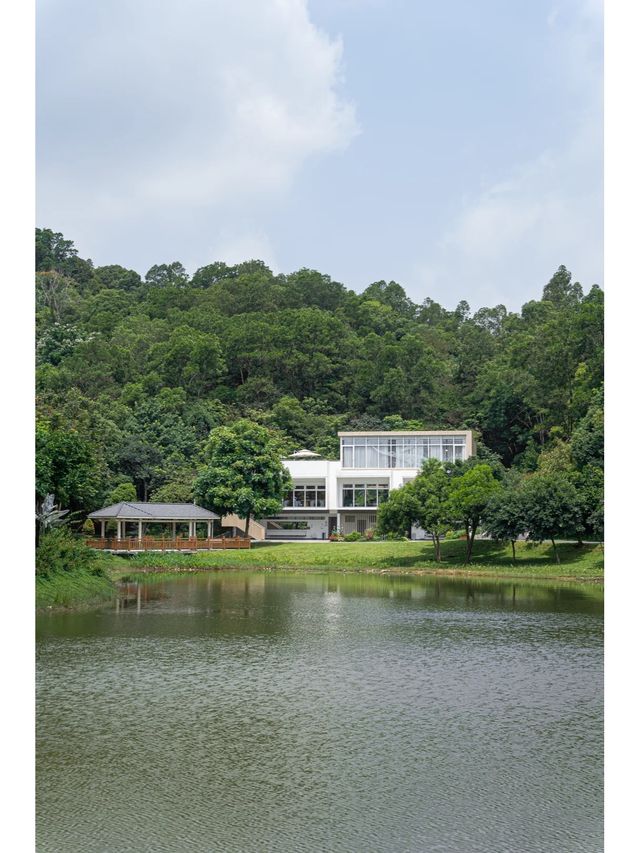 深圳小眾拍照打卡地丨去過兩個都算你厲害