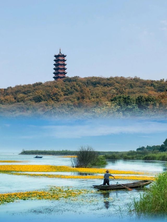 南京高淳，美得令人窒息！比大理還要迷人！