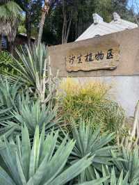 南寧市人民公園，現實版的綠野仙蹤！拍照打卡超出片！