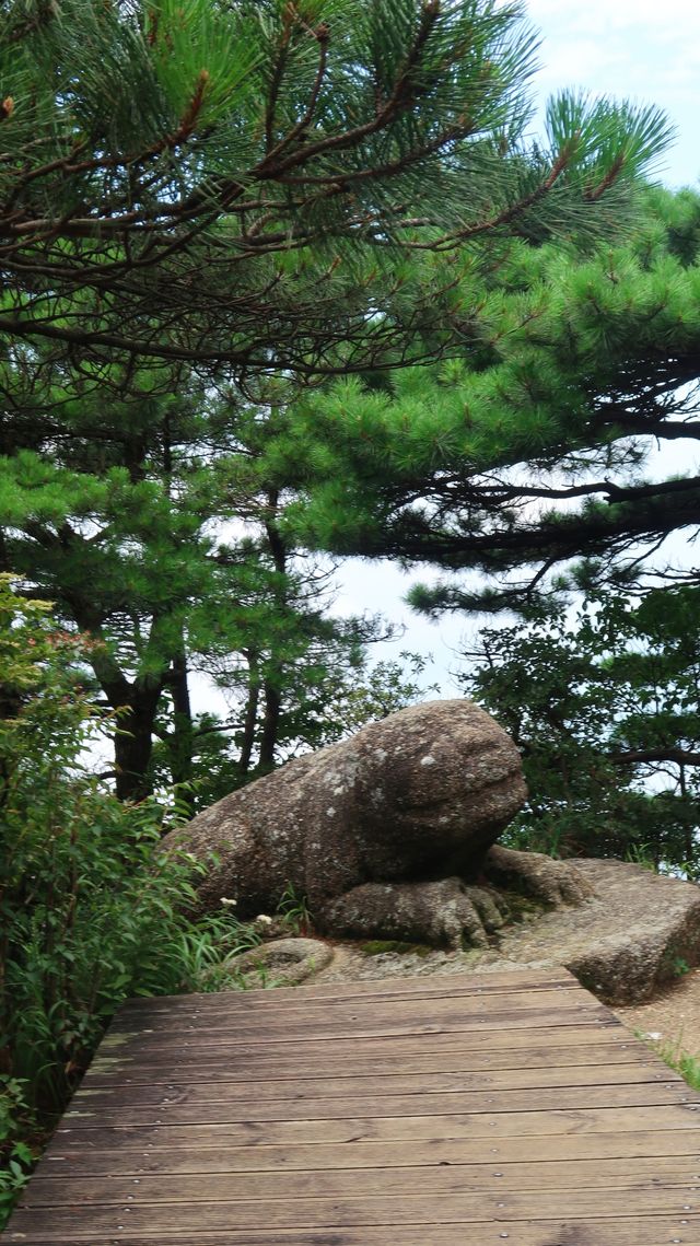 三清山，雖不如三山五嶽赫赫有名但景色毫不遜色