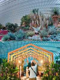 Flower Dome Marina Bay Garden♥️🇸🇬