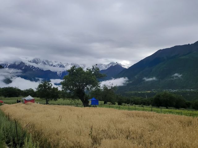 雅魯藏布江大峽谷（上）