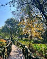 武漢馬鞍山森林公園，市內小眾的燒烤徒步聖地