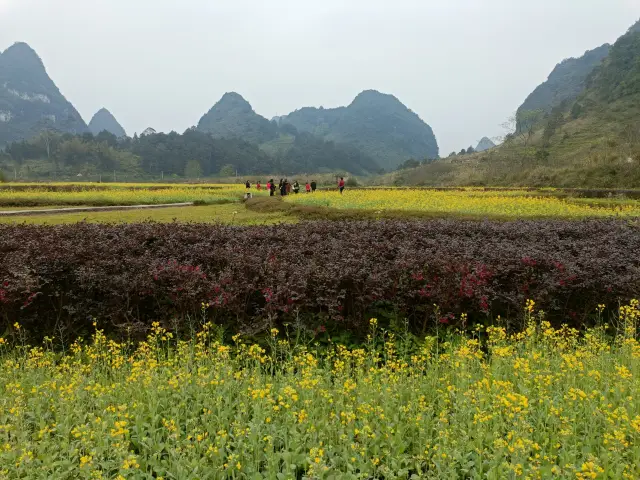 Visiting Jingxi Goose Spring