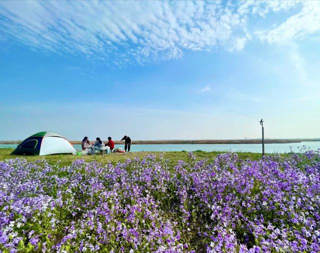 石家莊露營大軍全去這了還有衛生間