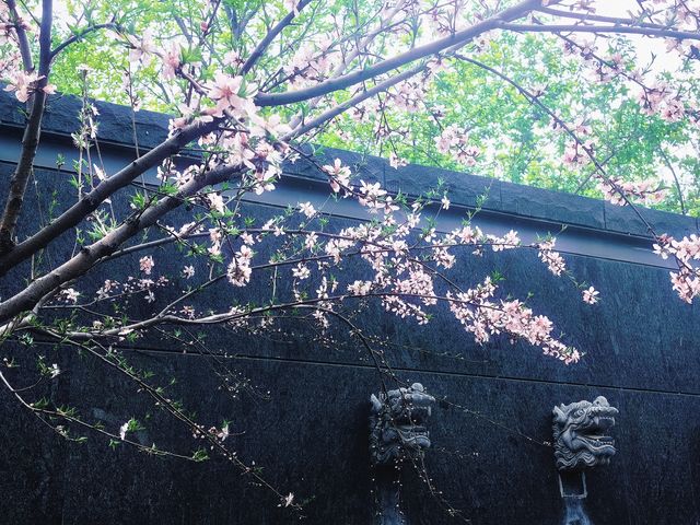 北京小眾公園 春季花海