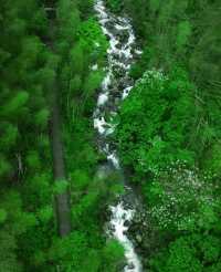 原以為黃山很美了，直到我到了明月山