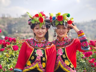 Intangible cultural heritage complements the fragrance of flowers