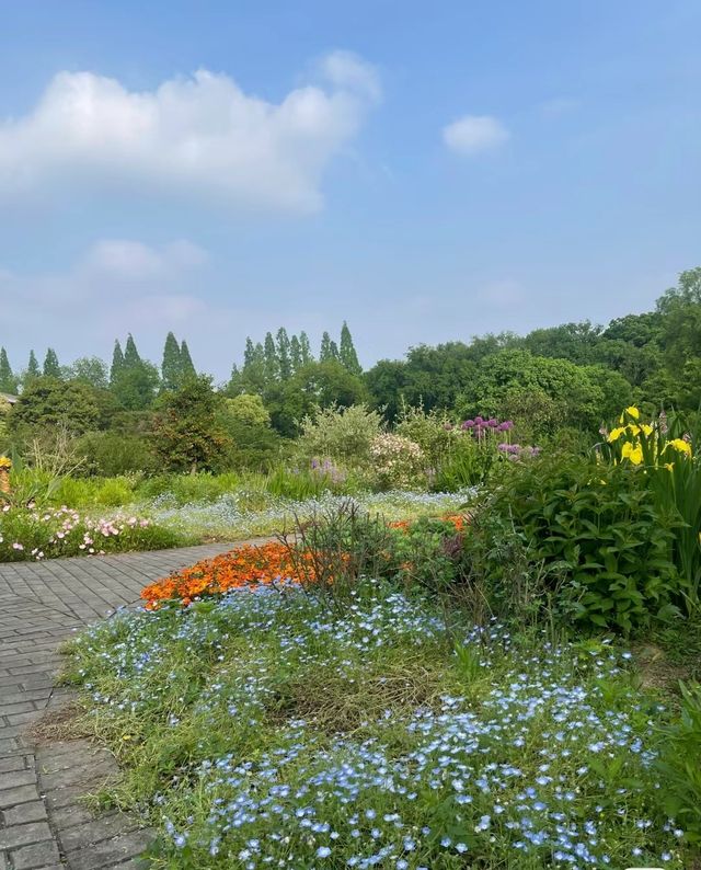 中山植物園已經進入「美不可言」的境界