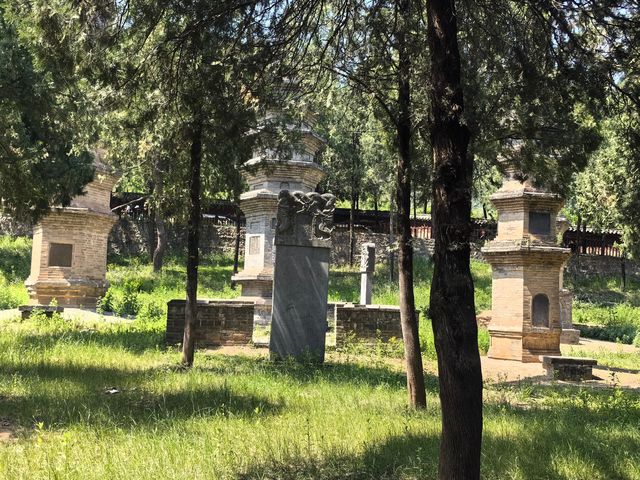 世界文化遺產塔林-登封市嵩山少林寺景區