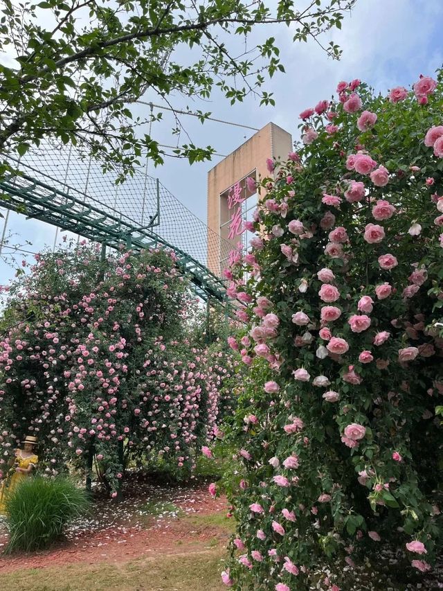 五月的成都公主後花園在哪裡