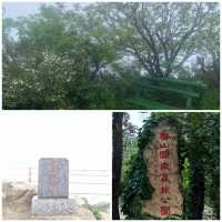 後悔沒早點來博山爬這座山