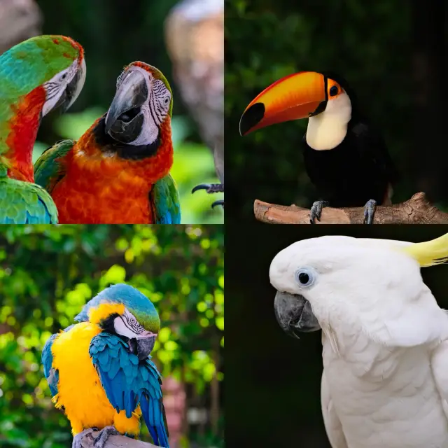 生命總是治癒生命 今天的快樂是動物園給的
