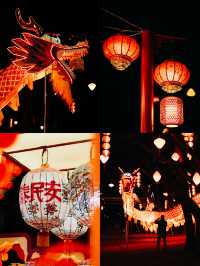 翔安颐豪 | 廈門賞花燈鬧元宵指南