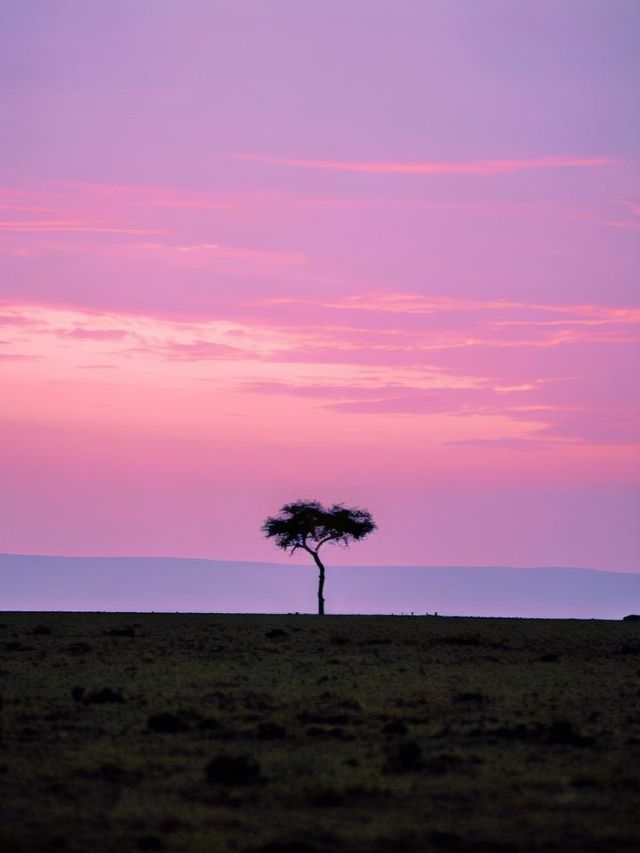 🌟✈️ Unwind in Luxury: Olare Mara Kempinski, Kenya 🦁🌄