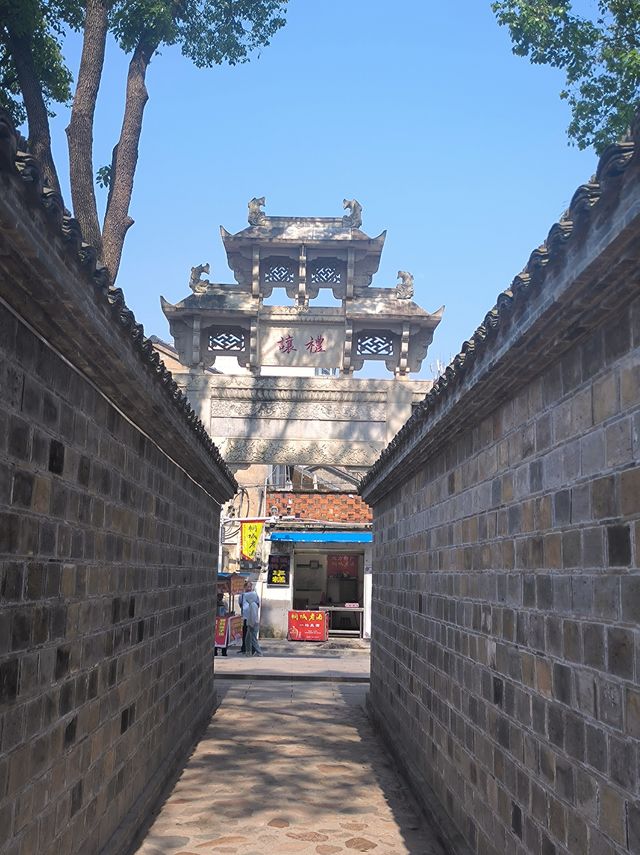 真的太治愈了！反向旅遊攻略！