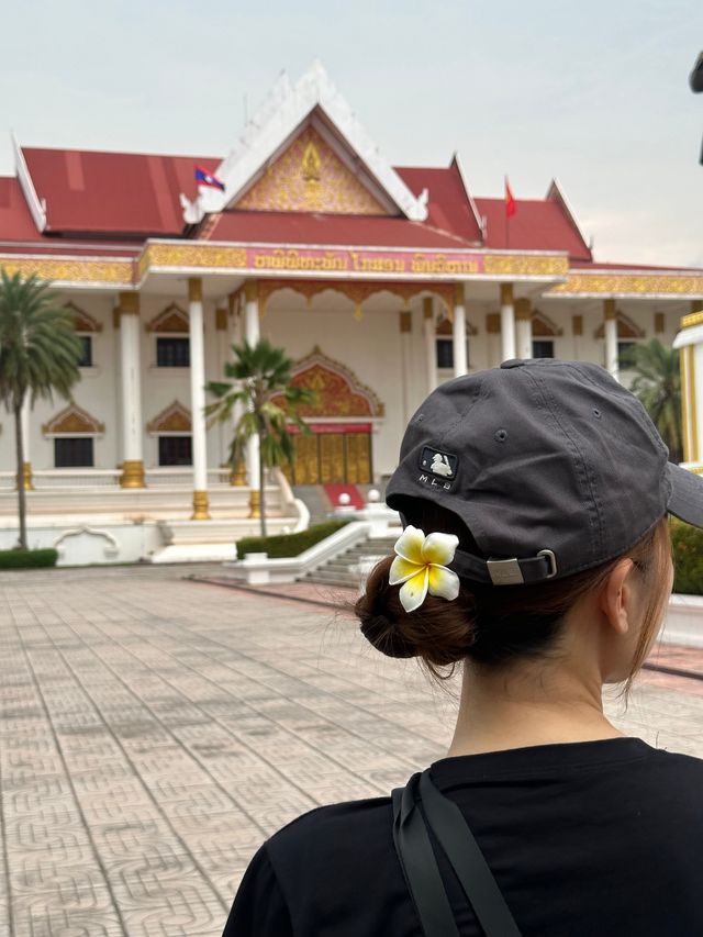 收集博物館&老撾國博竟然養牛