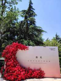 莫奈花園，拍照聖地！！