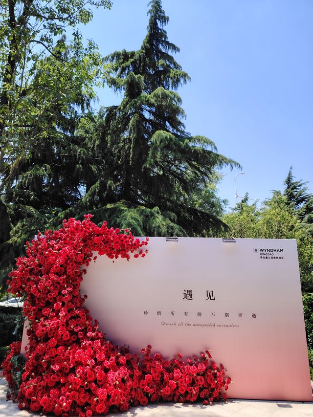 莫奈花園，拍照聖地！！