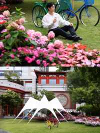 花開無盡夏浪漫繡球花海
