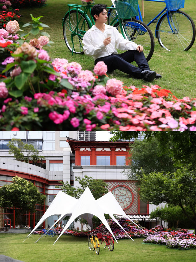 花開無盡夏浪漫繡球花海