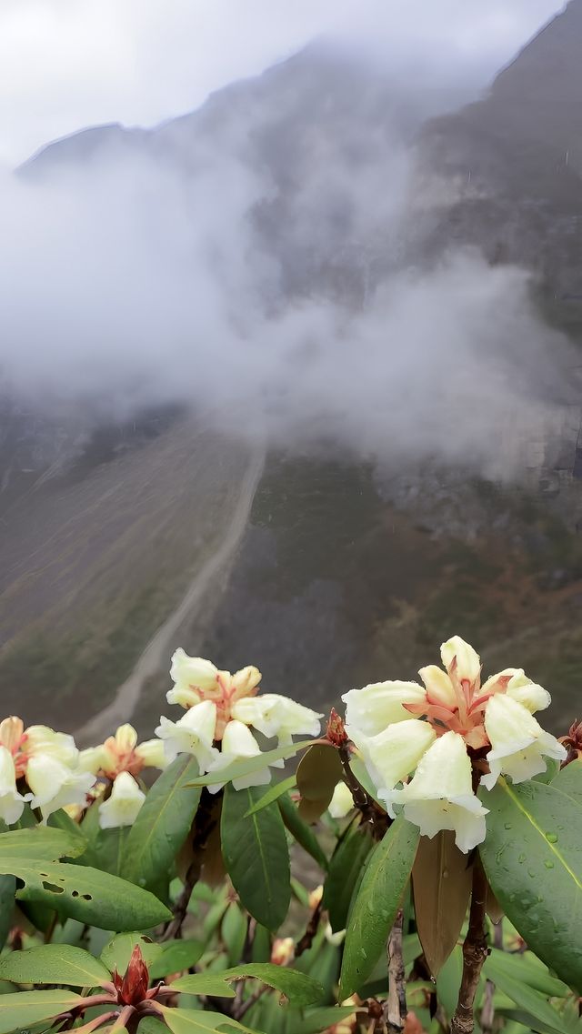 記錄沿途的美麗風景