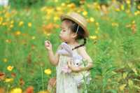 長沙夏天也能賞花這3個地方能遛娃還出片