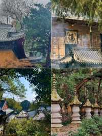 國清寺一日遊，吃喝玩樂詳細攻略