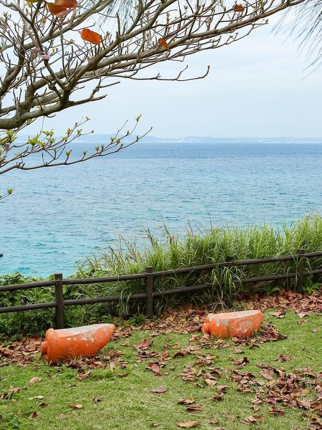 🥕Carrot Island AKA Tsuken Island: A Slice of Paradise🌺