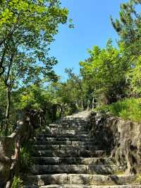 廈門洋麻山森林公園遊玩攻略！超詳細！