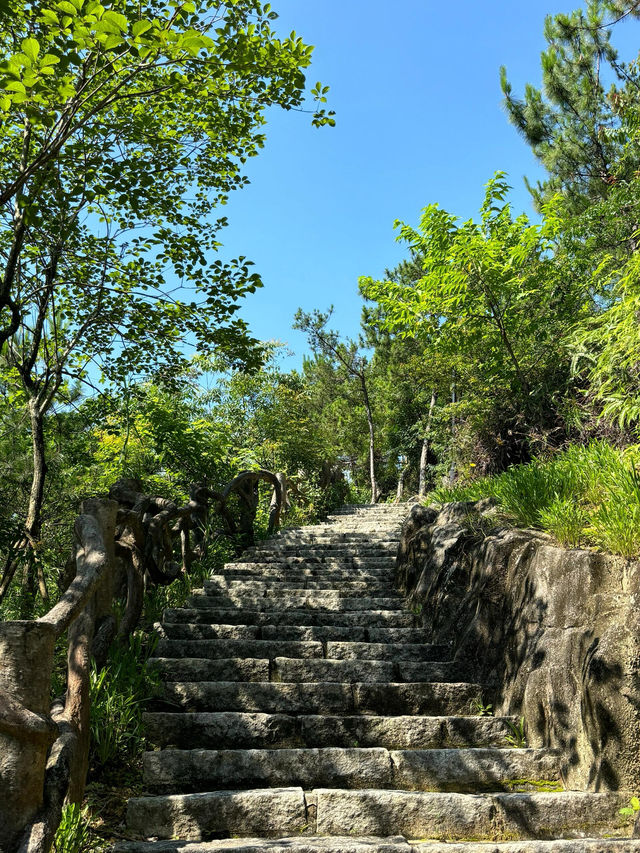 廈門洋麻山森林公園遊玩攻略！超詳細！