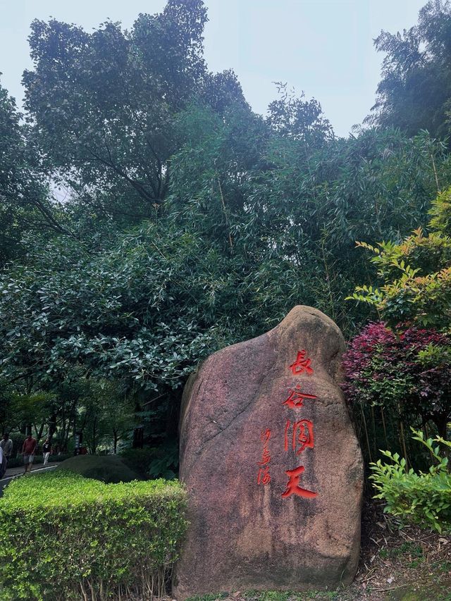 在安吉朋友圈问疯了！都以为我去新疆了|||