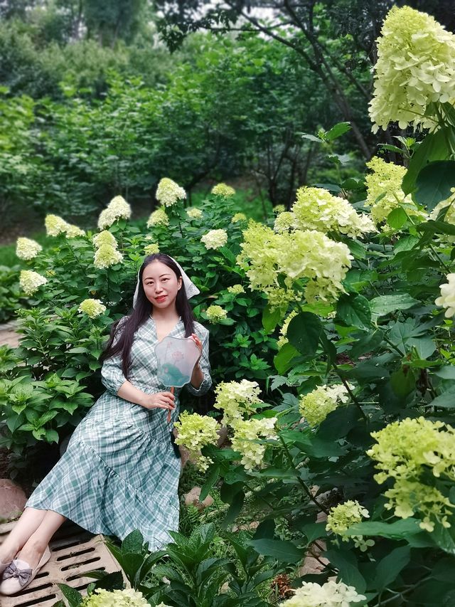 在成都！！鮮花織就的小徑