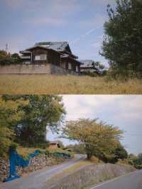 瀨戶內海巡遊記：處處給人驚喜的豐島
