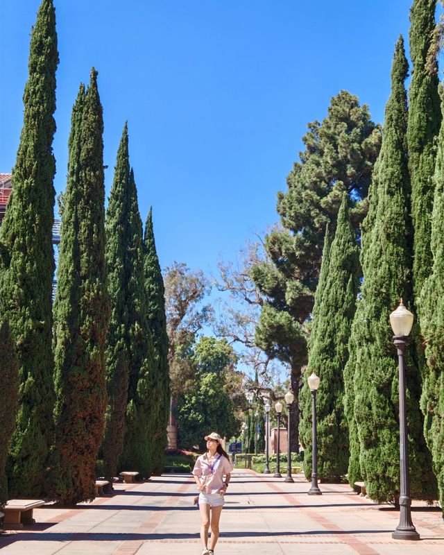加州大學洛杉磯分校UCLA，不愧是夢中情校
