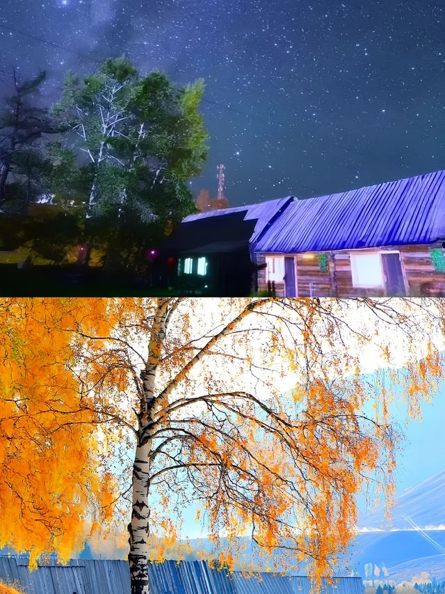 金秋北疆9-10月喀纳斯的秋色將封神!亞歐草原的中心，