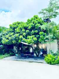 邂逅犬禾 | 民宿咖啡與稻田的絕美篇章
