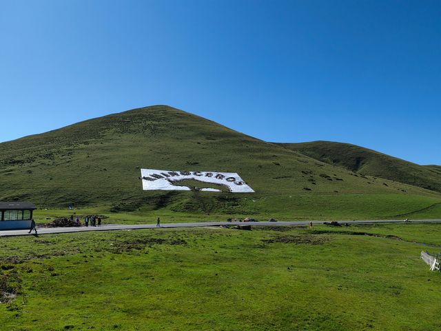 會澤大海草山